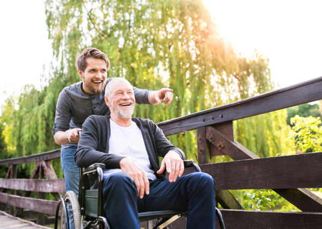 Accessibility Friendly Hikes Near Chattanooga TN