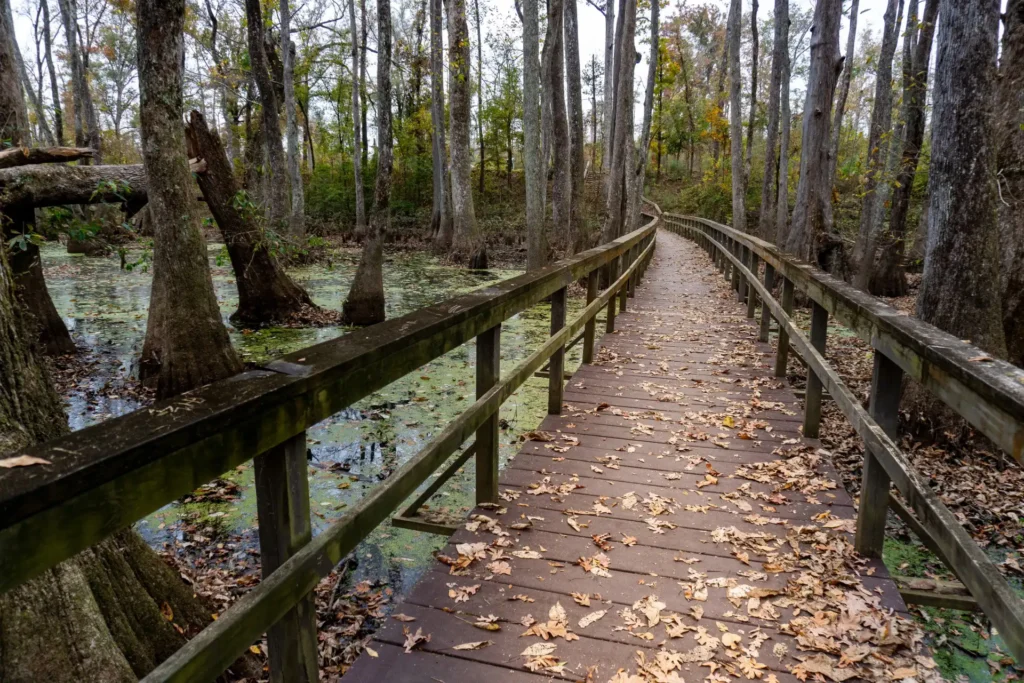 Natchez Trace National Scenic Trail Tennessee
