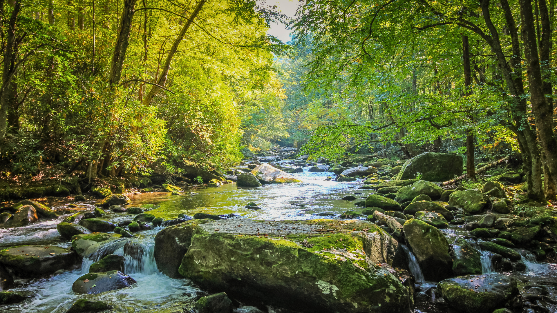 The Ultimate Guide to Hiking in Chattanooga Tennessee, TN