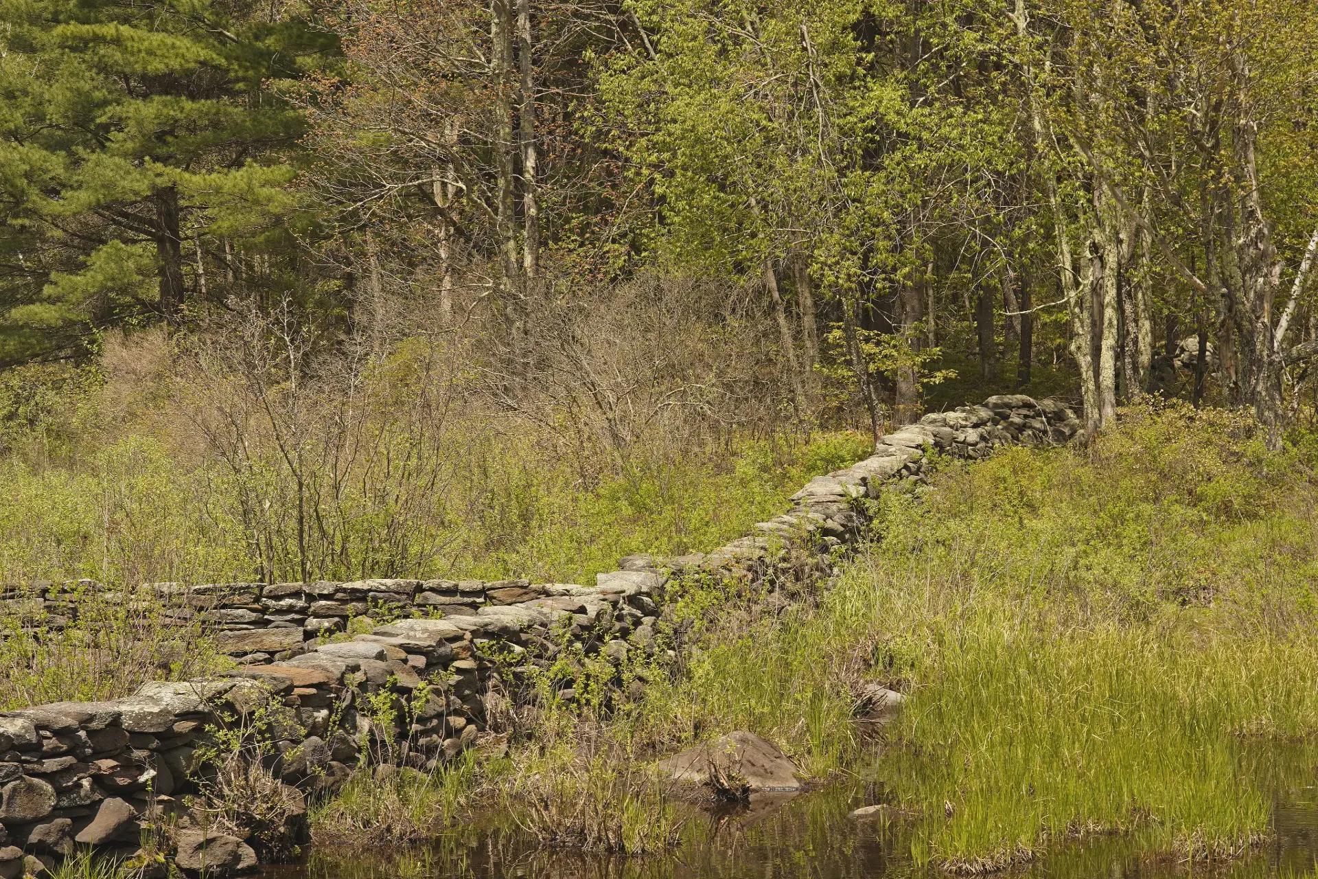 Top 15 Things to Do in Ashfield Massachusetts