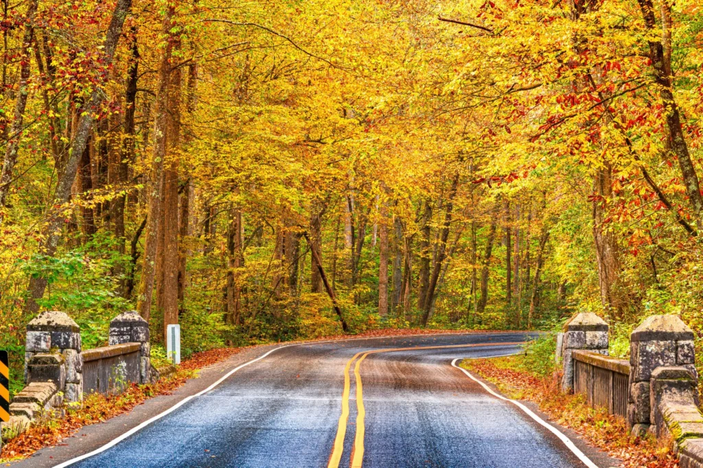 Things to Do in Asheville, North Carolina